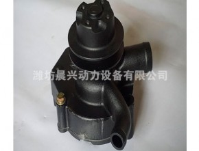 Cooling water pump