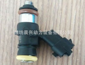 Injection valve 612600190226