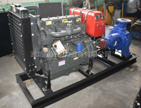 30KW diesel powered water pump unit K4100P diesel engine  axially split pump IS150-125-315